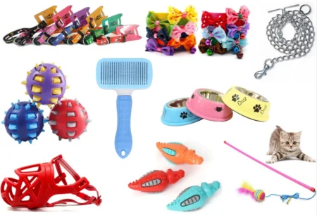 Pet Accessories