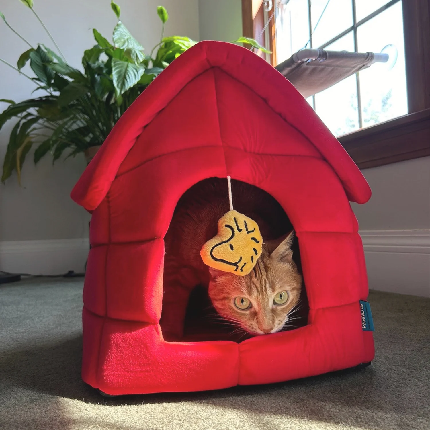 Cat Houses