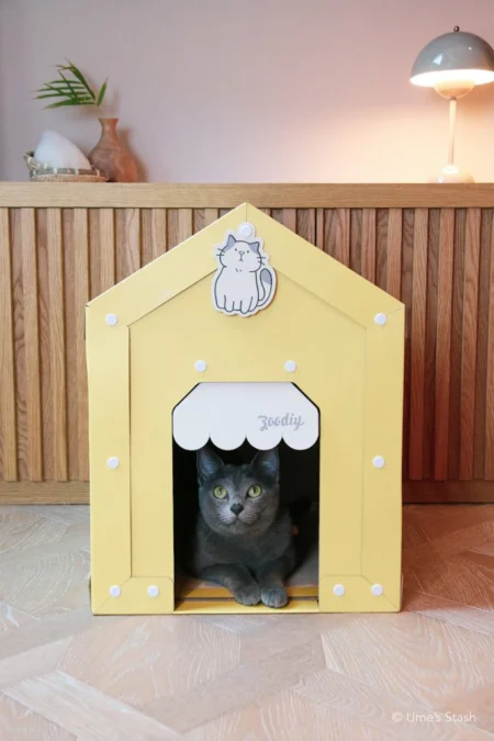 Pentagon hideaway pet house